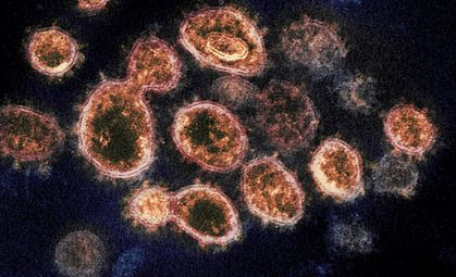Coronavirus  (2)